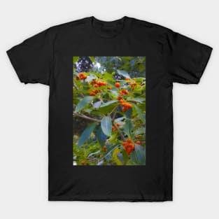 fascinating nature T-Shirt